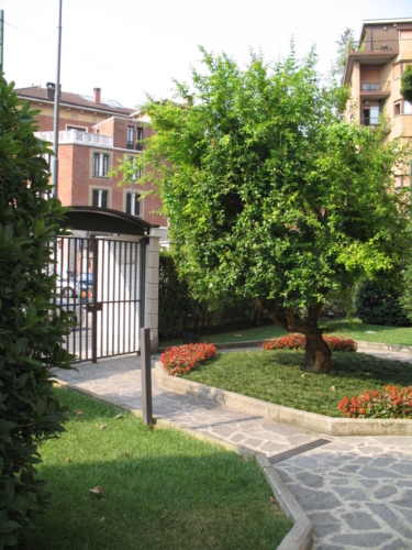 Giardino ingresso